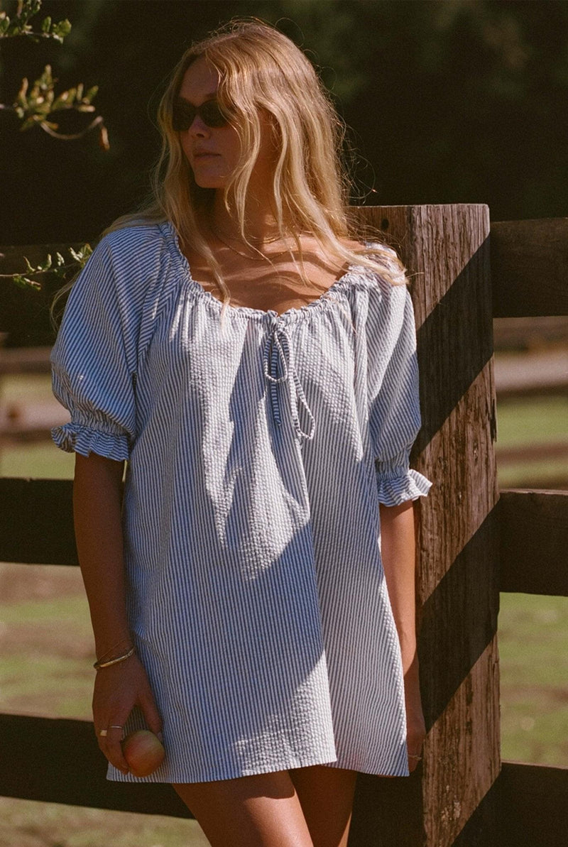Pinstripe Dress - Portofino Dress