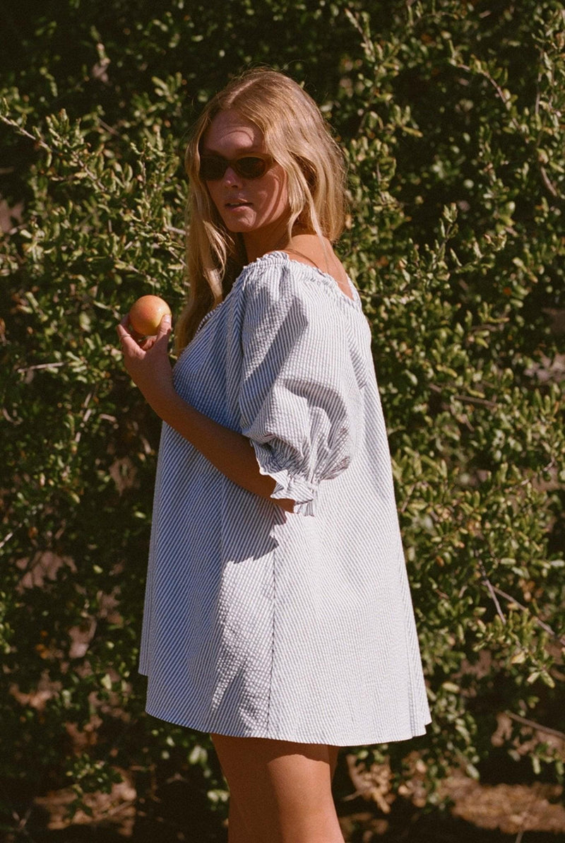 Pinstripe Dress - Portofino Dress